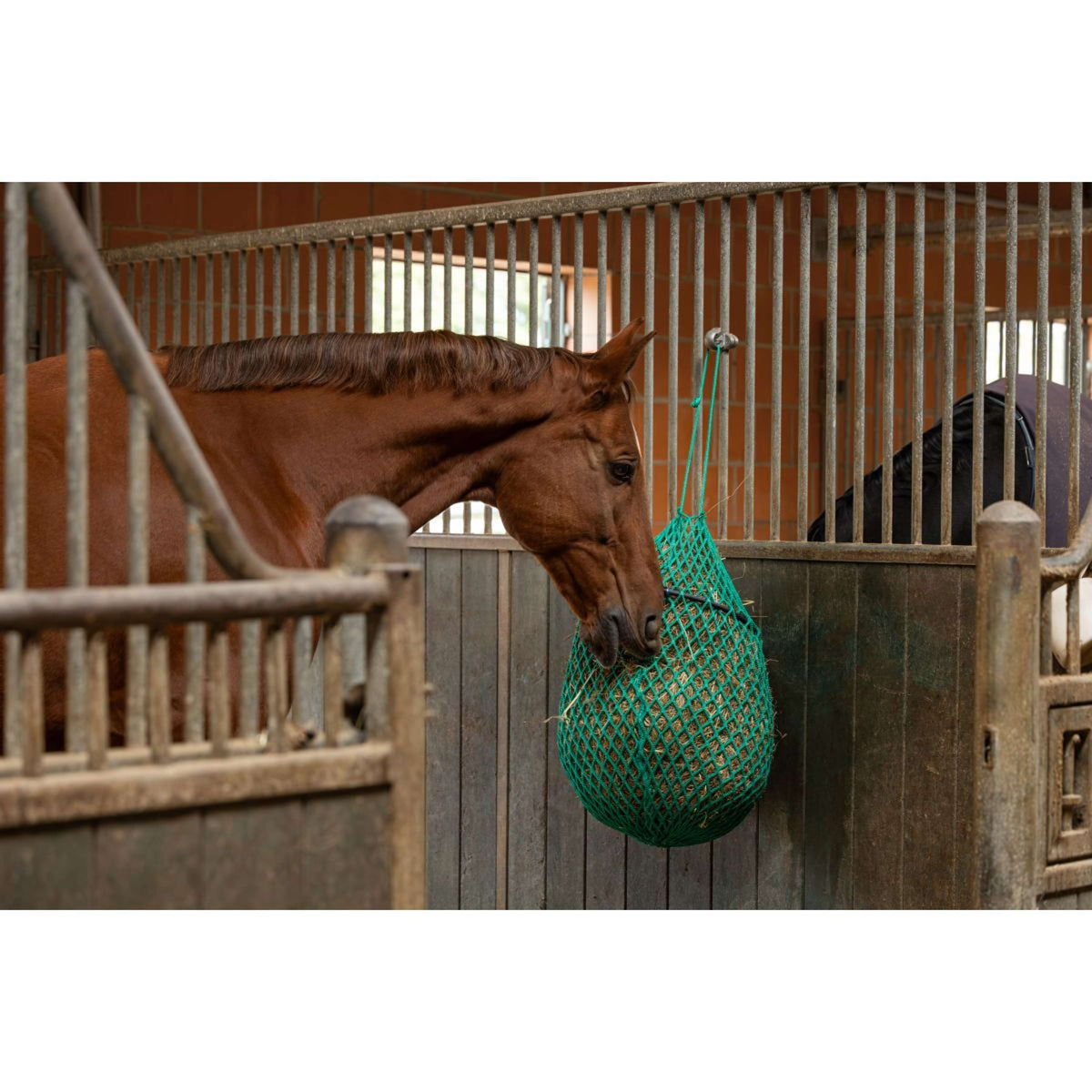 Covalliero Rete da Fieno Verde