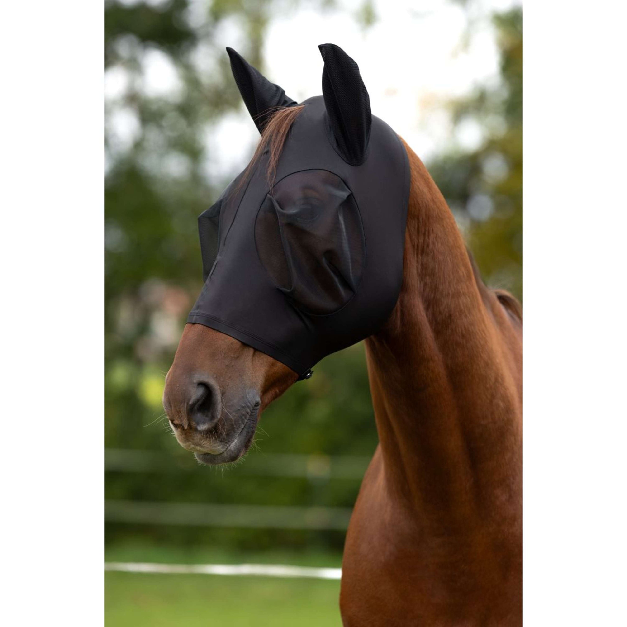 Covalliero Maschera per Mosche FinoStretch Nero Covalliero Maschera per Mosche FinoStretch Nero