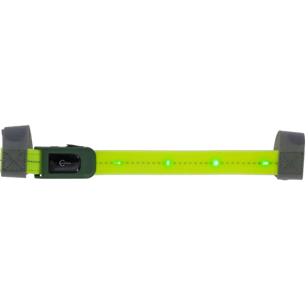 Covalliero Frontalino Led Riflessione
