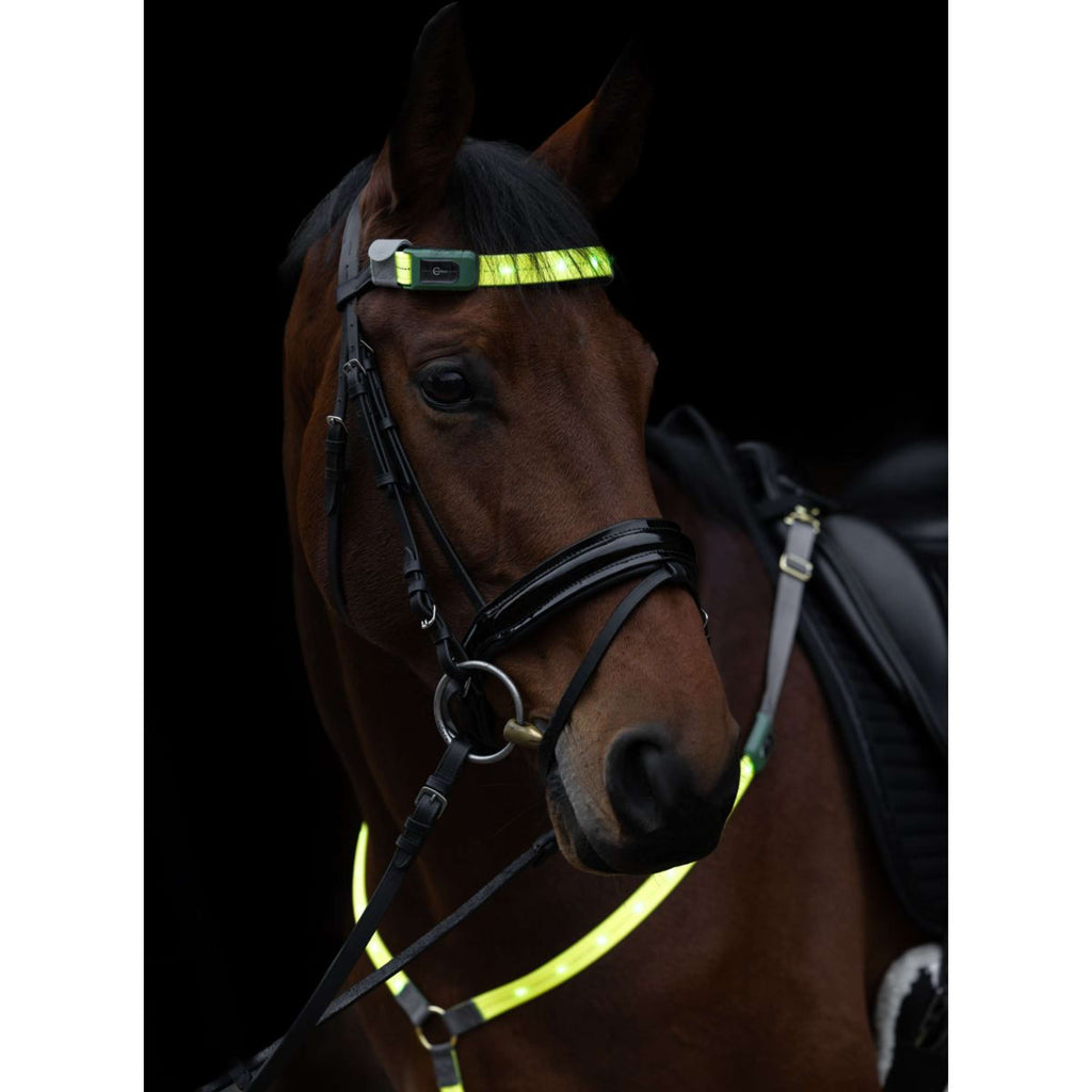 Covalliero Frontalino Led Riflessione