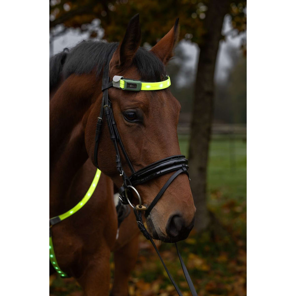 Covalliero Frontalino Led Riflessione