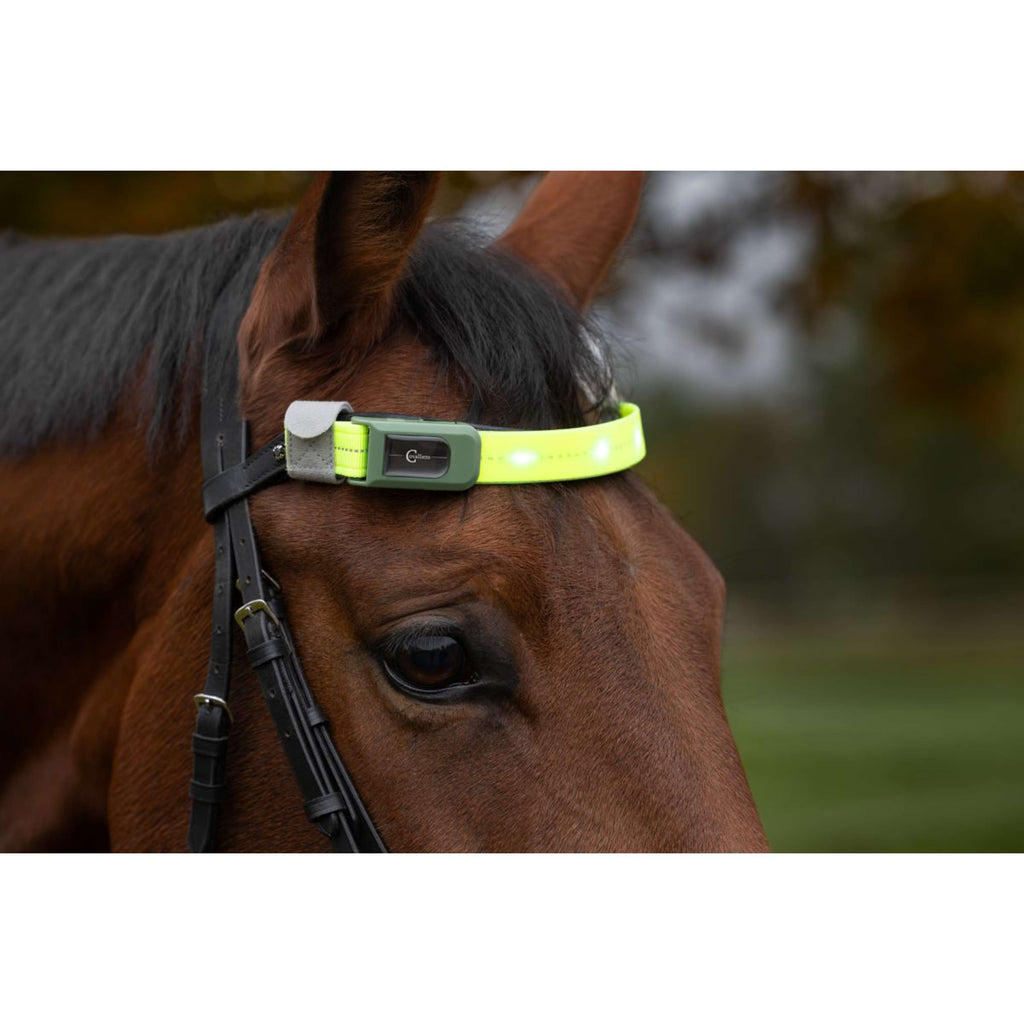 Covalliero Frontalino Led Riflessione