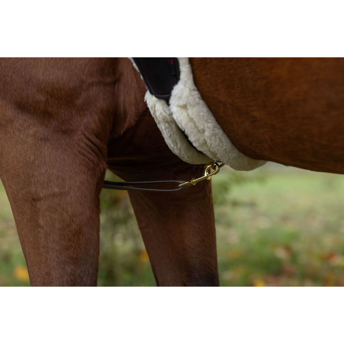 Covalliero Pettorina Led Riflessione