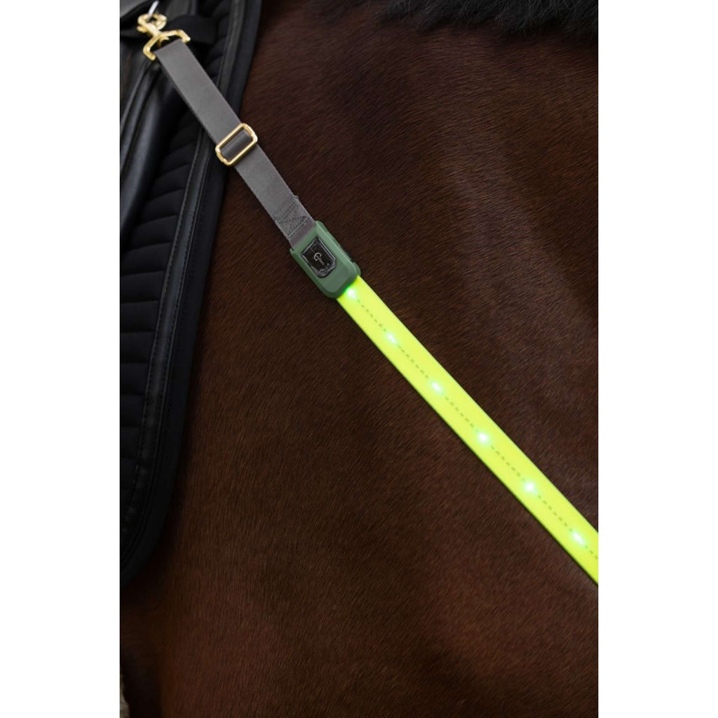 Covalliero Pettorina Led Riflessione