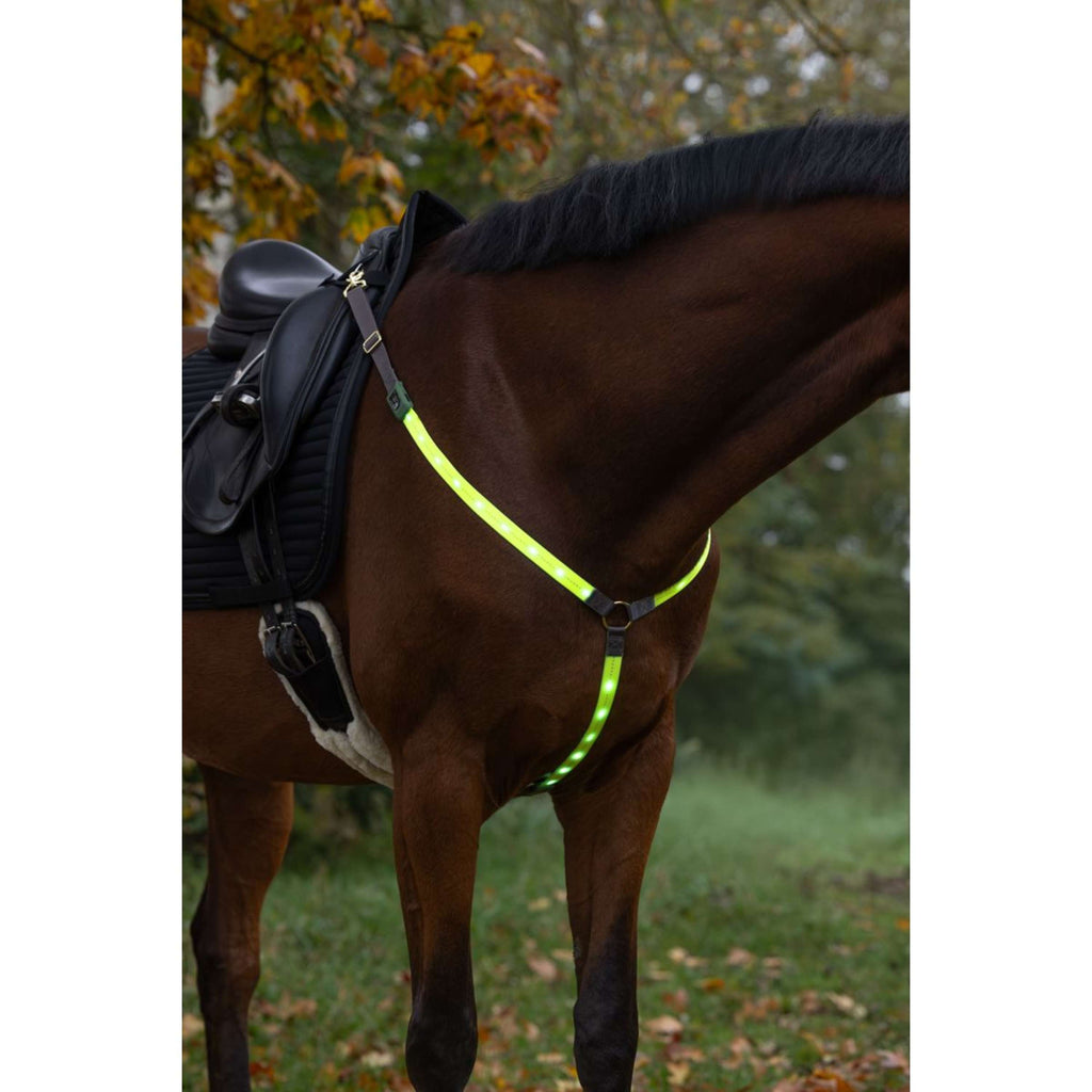 Covalliero Pettorina Led Riflessione