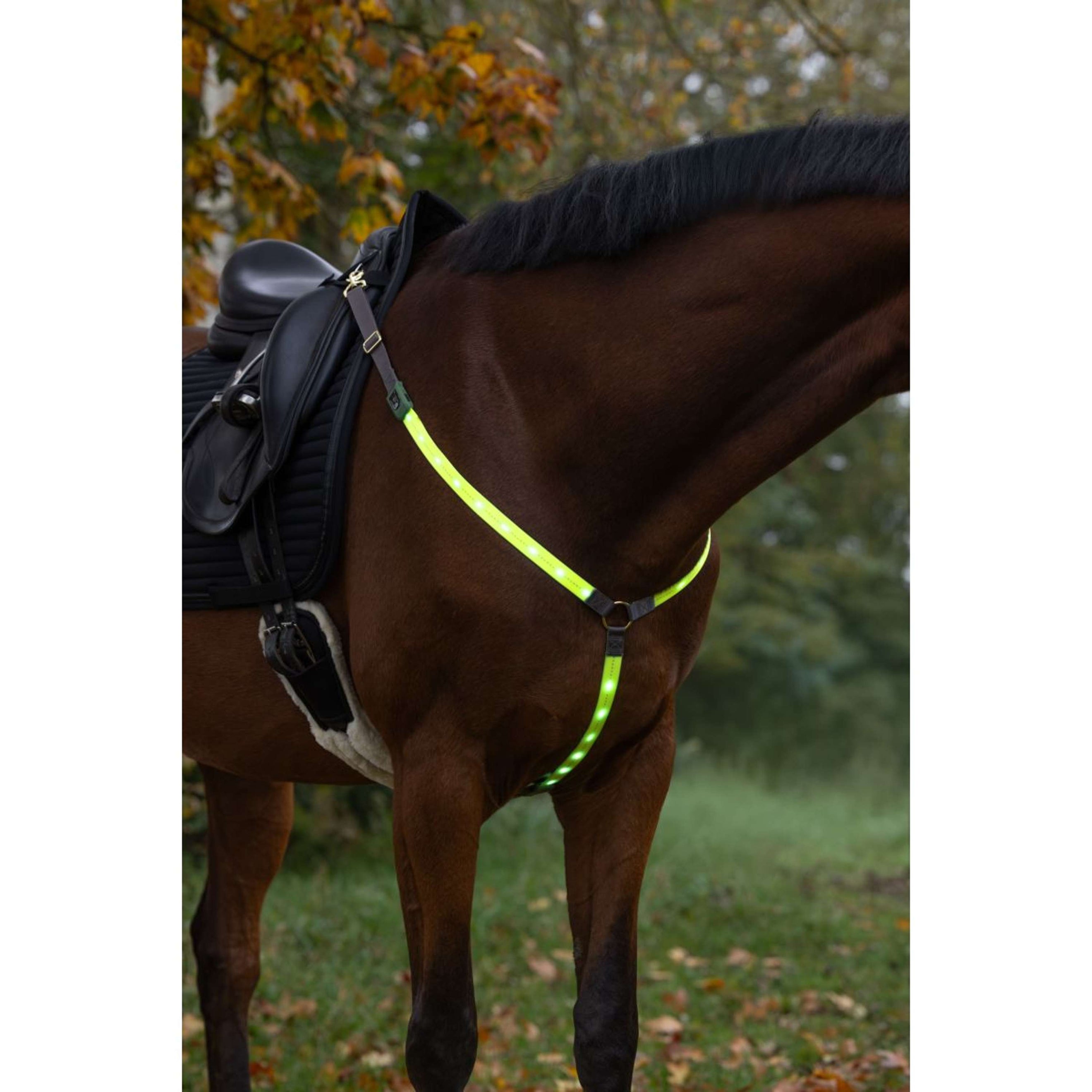 Covalliero Pettorina Led Riflessione