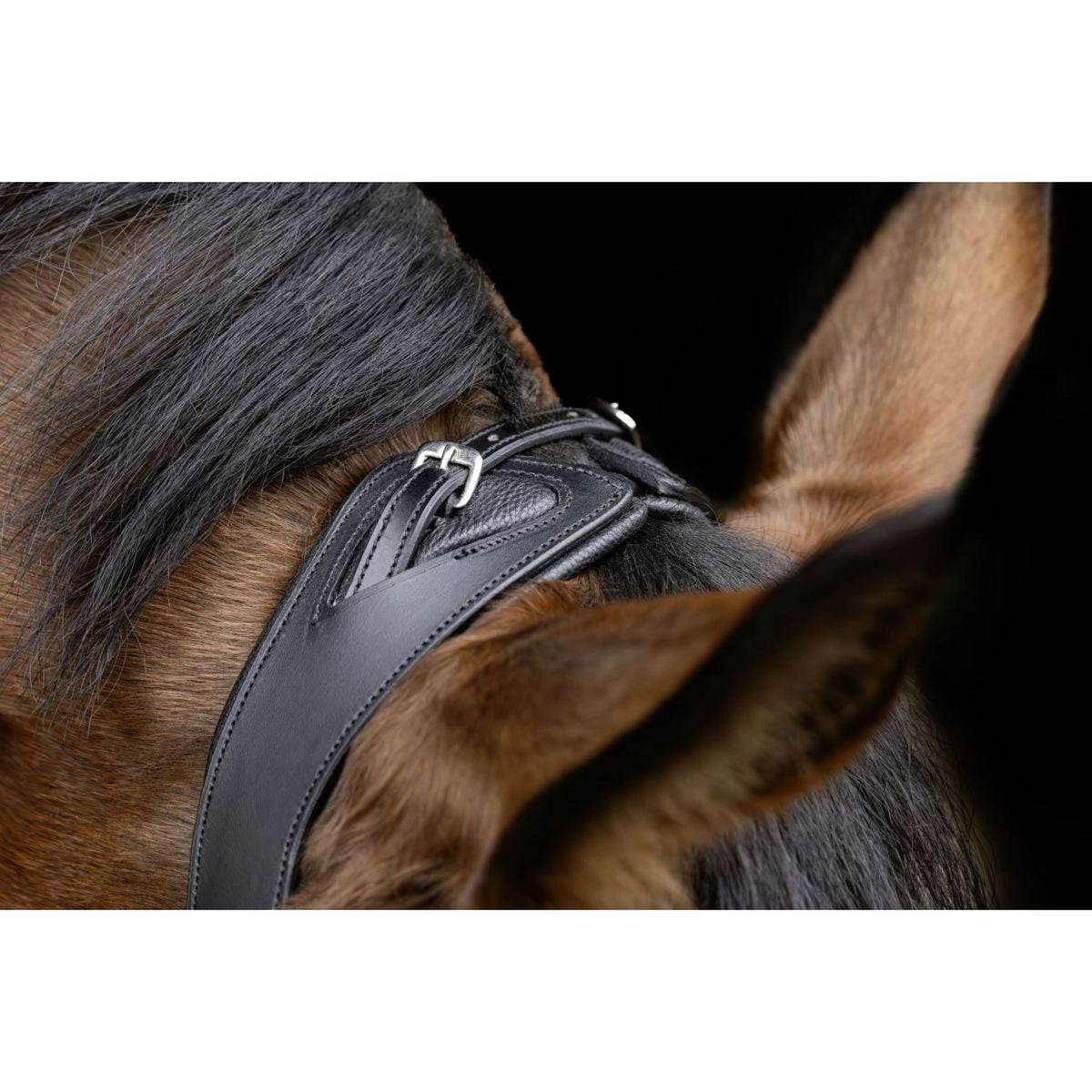 Covalliero Briglia Anatomic Nero