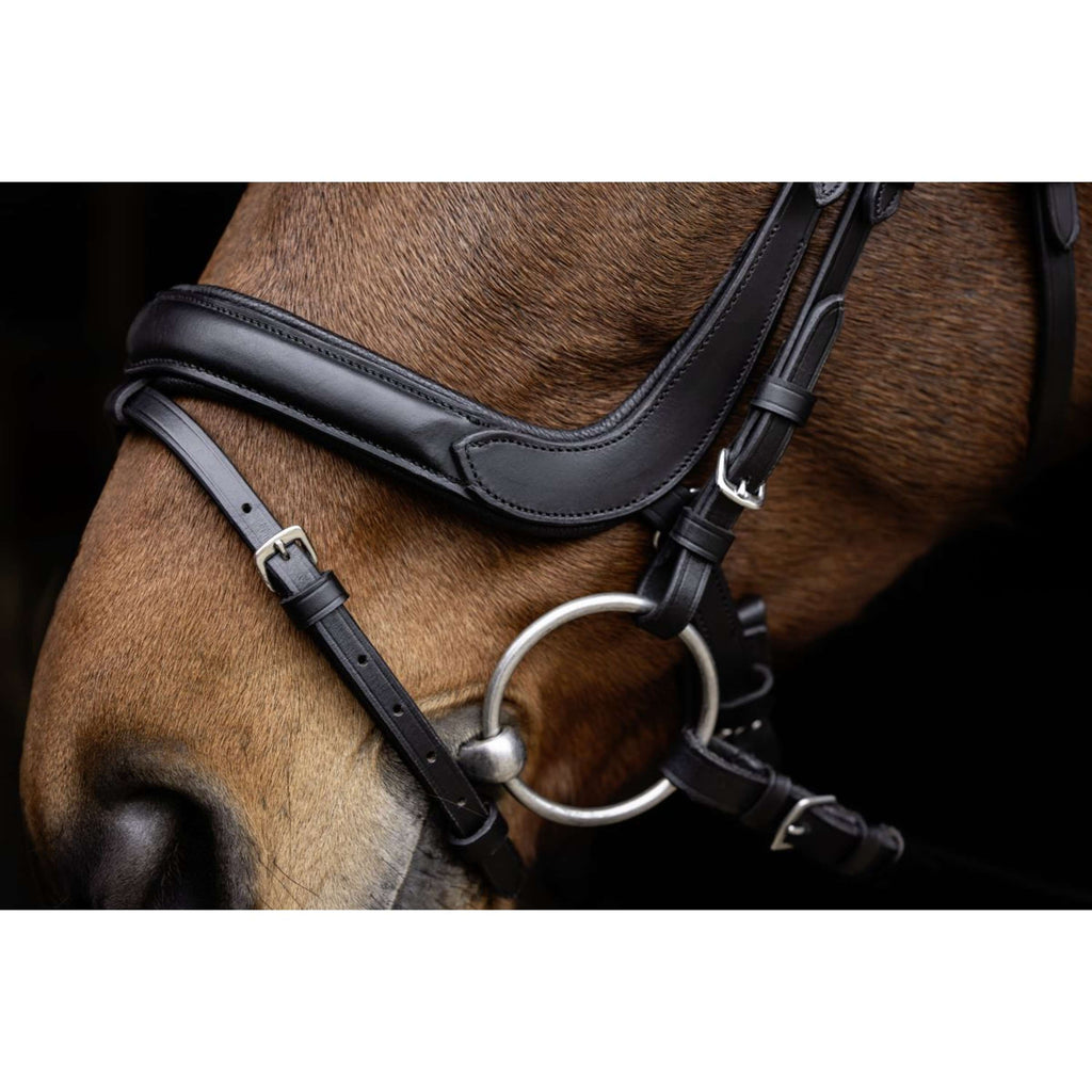 Covalliero Briglia Anatomic Nero
