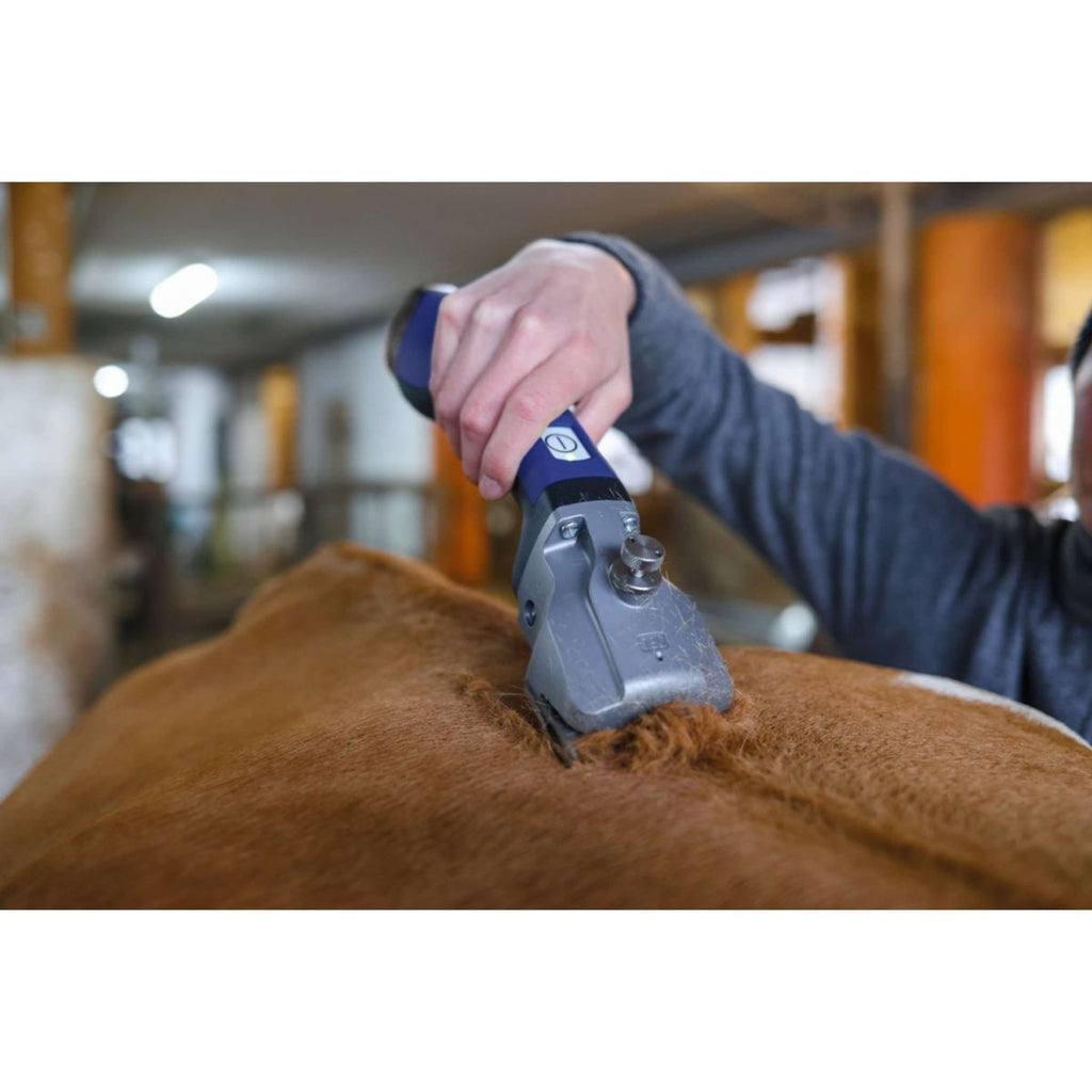 Aesculap Macchina da barba a batteria Bonum Pro Cavallo GT654-BL Blu