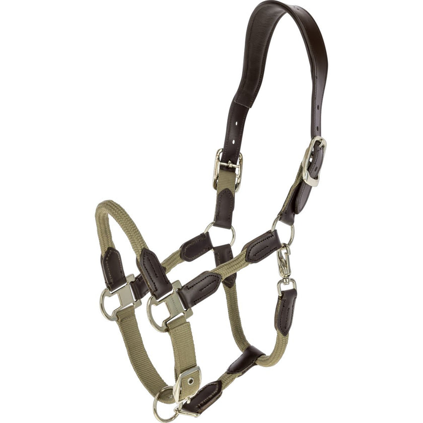 Covalliero Capezzina SS26 Noce