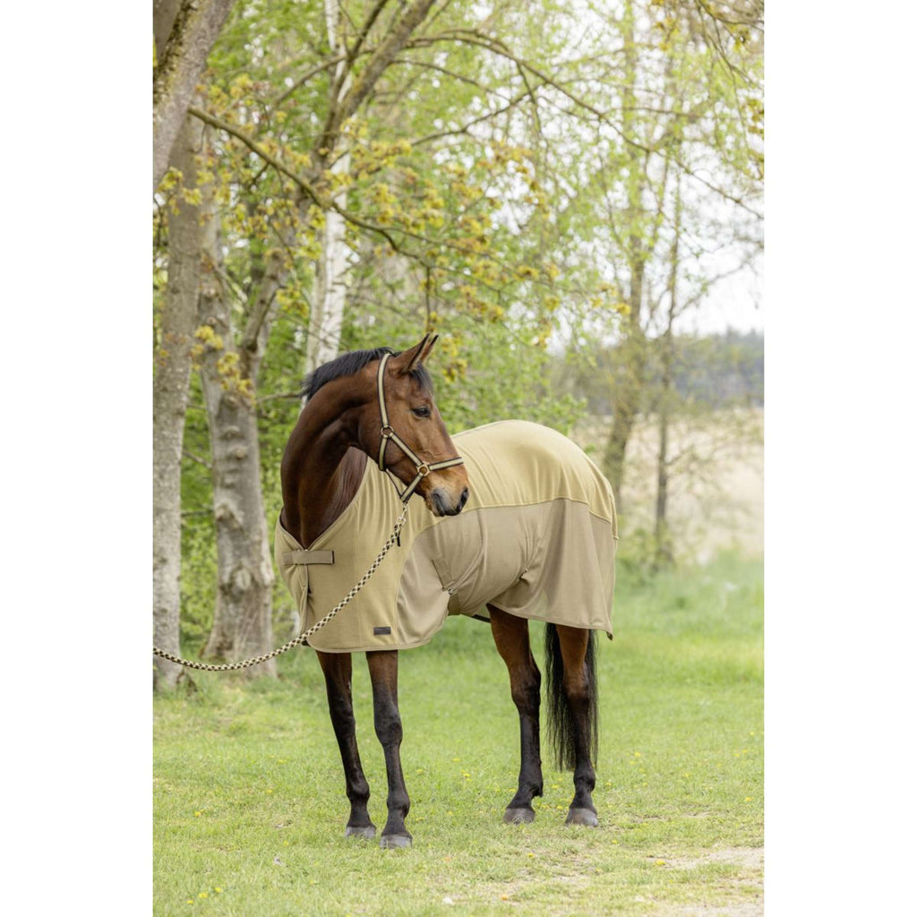 Covalliero Coperta antisudore SS26 Noce