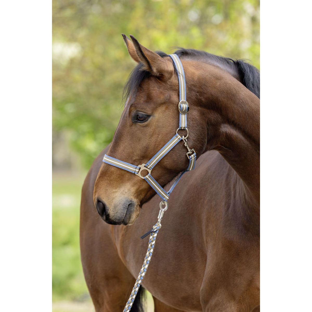 Covalliero Capezzina SS26 Smoked Blue/Noce