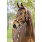 Covalliero Capezzina SS26 Noce