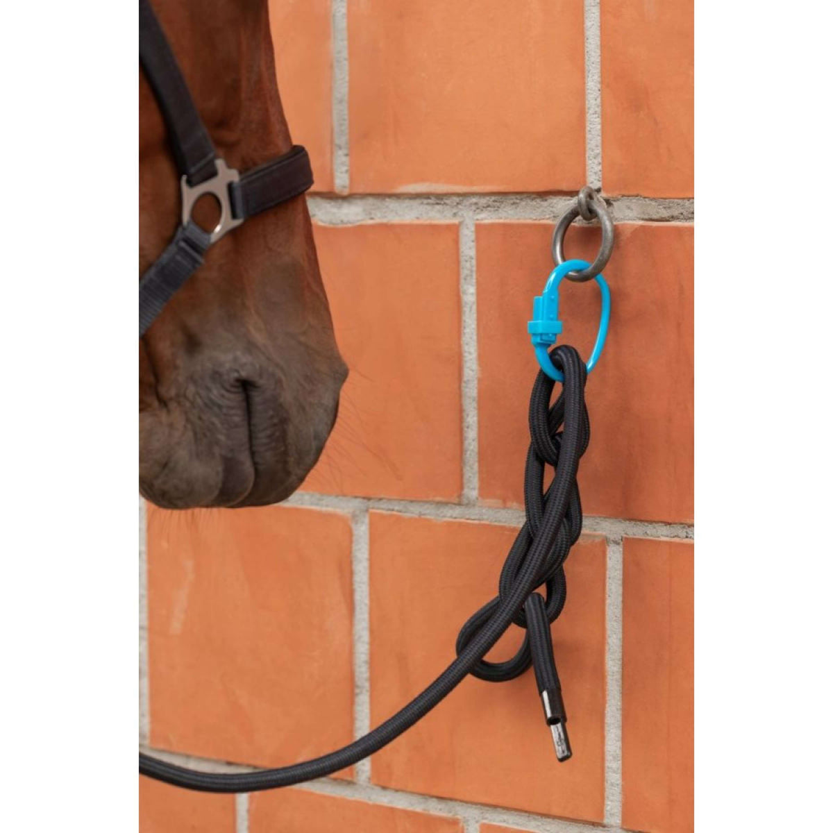 Kerbl Anello di sicurezza Safety Tie-Down Rosso/Nero/Blu