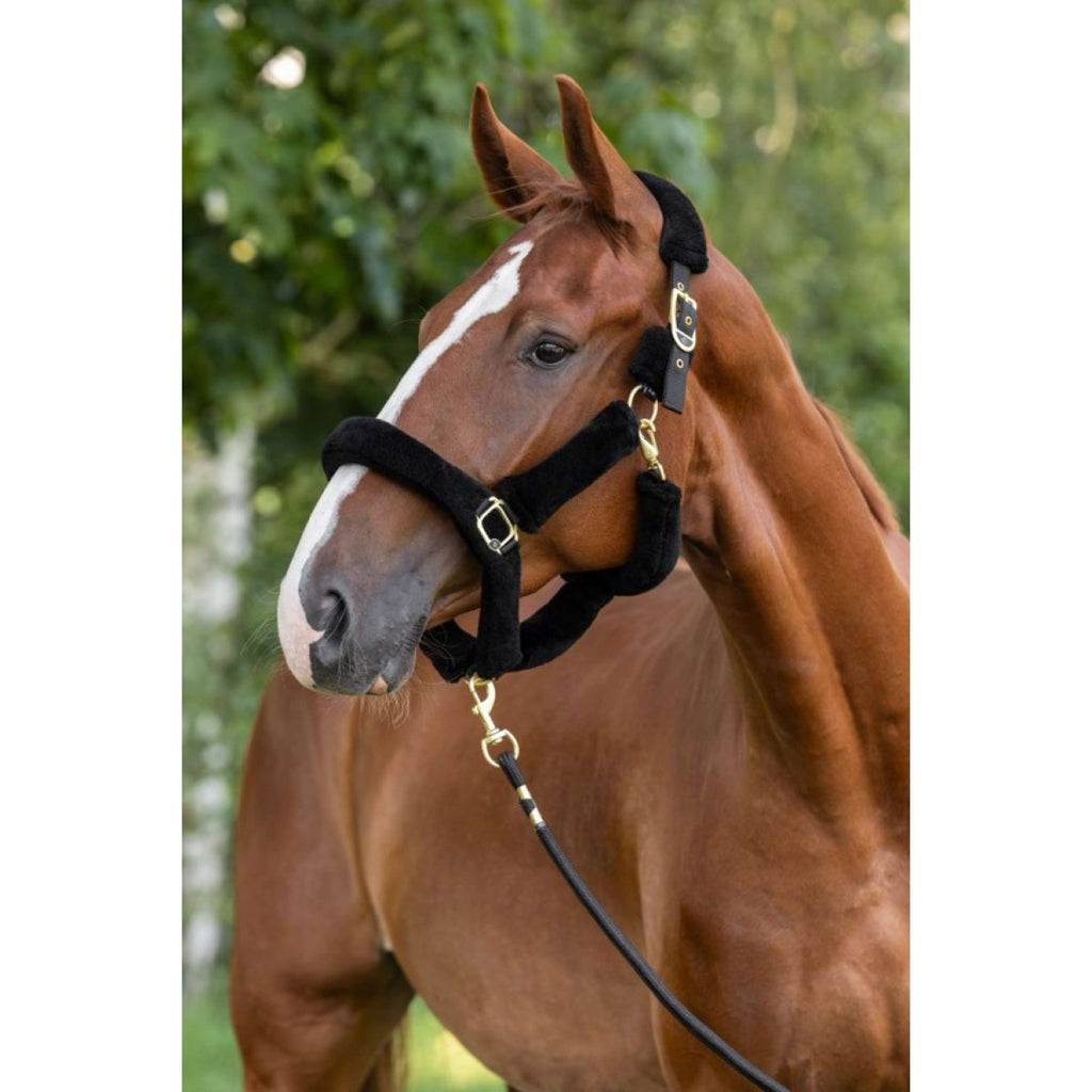 Covalliero Cavezza Supersoft 2.0 Nero