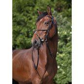 Riding World Briglia