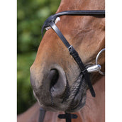 Riding World Briglia