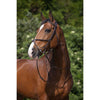 Riding World Briglia con Capezzina Messicana L'Avana