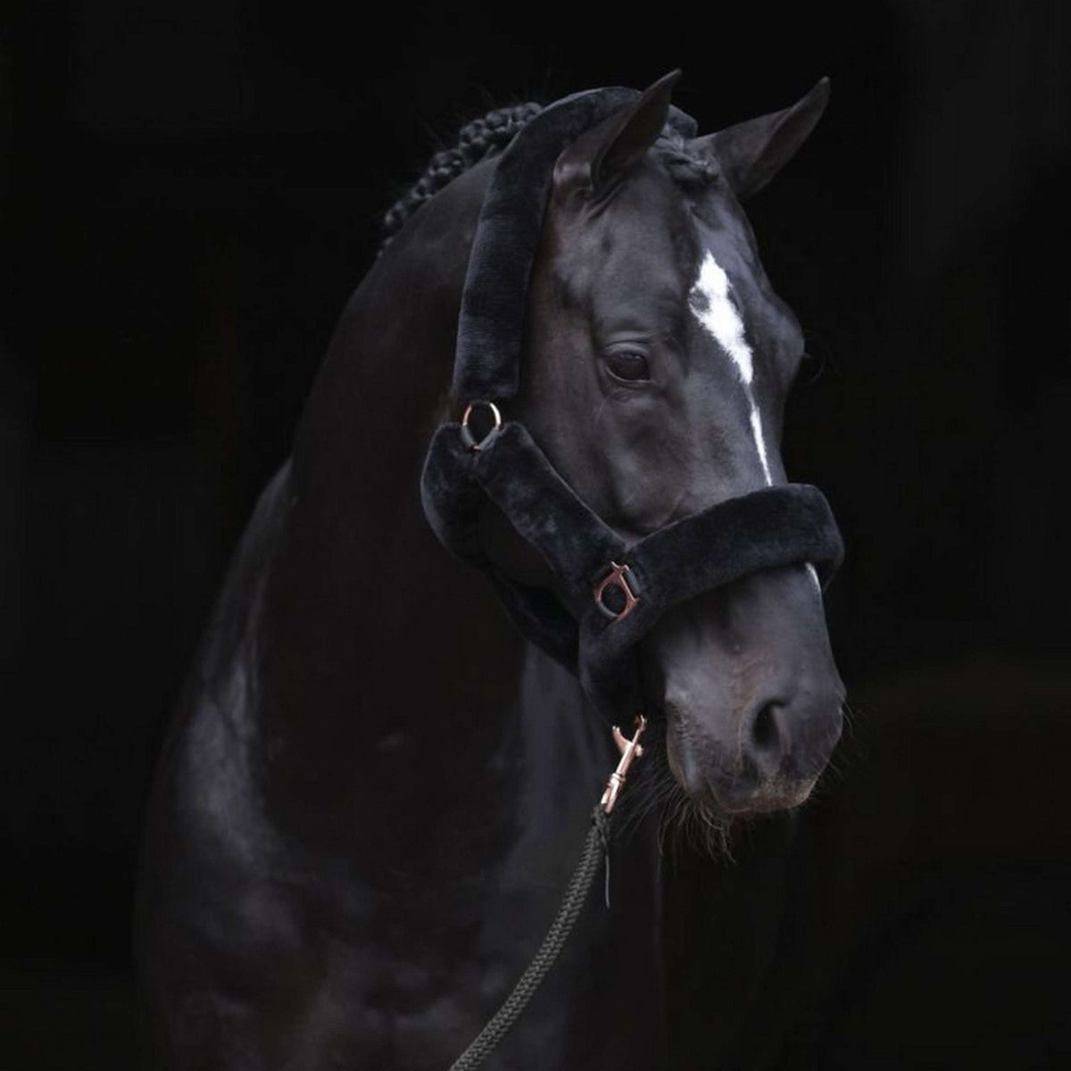 Covalliero Capezzina SuperSoft Nero