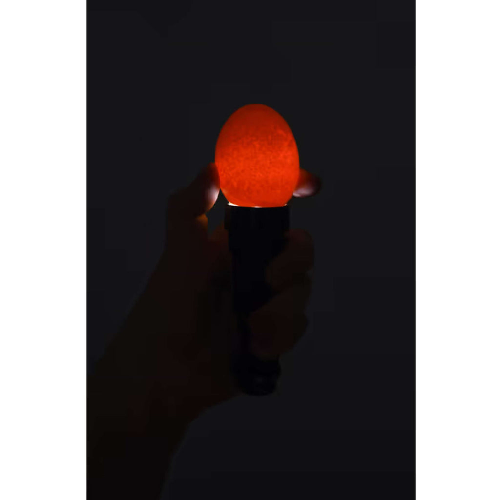 Kerbl Lampada LED ovoscopio Nero