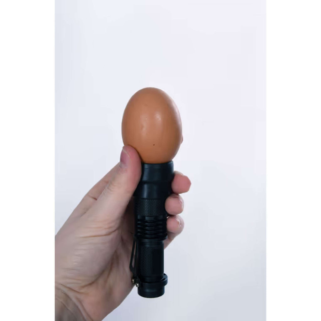 Kerbl Lampada LED ovoscopio Nero