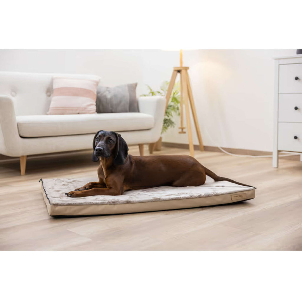 Kerbl Materasso per Cane 2 in 1 marrone/beige