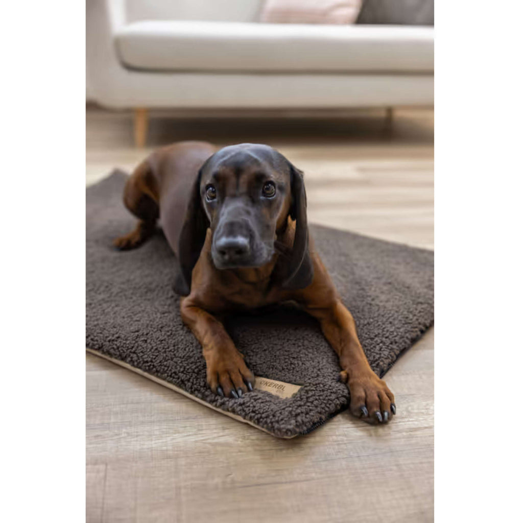 Kerbl Materasso per Cane 2 in 1 marrone/beige