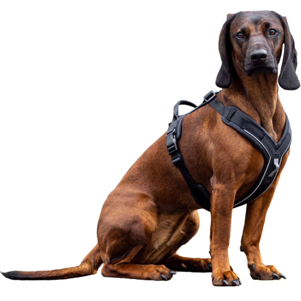 Kerbl Pettorina per Cane Dallas Nero