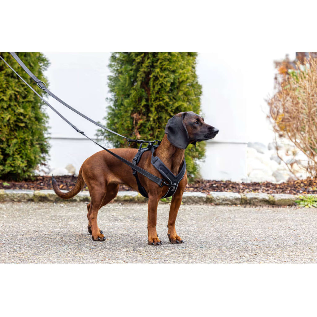 Kerbl Pettorina per Cane Dallas Nero
