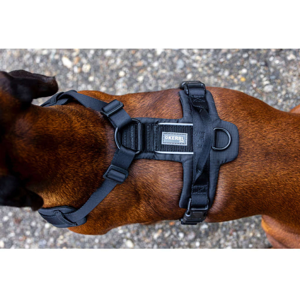 Kerbl Pettorina per Cane Dallas Nero