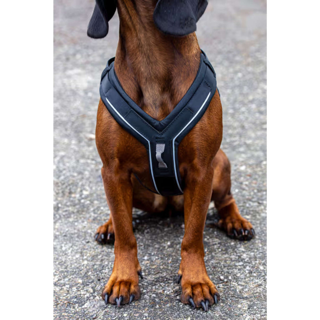 Kerbl Pettorina per Cane Dallas Nero
