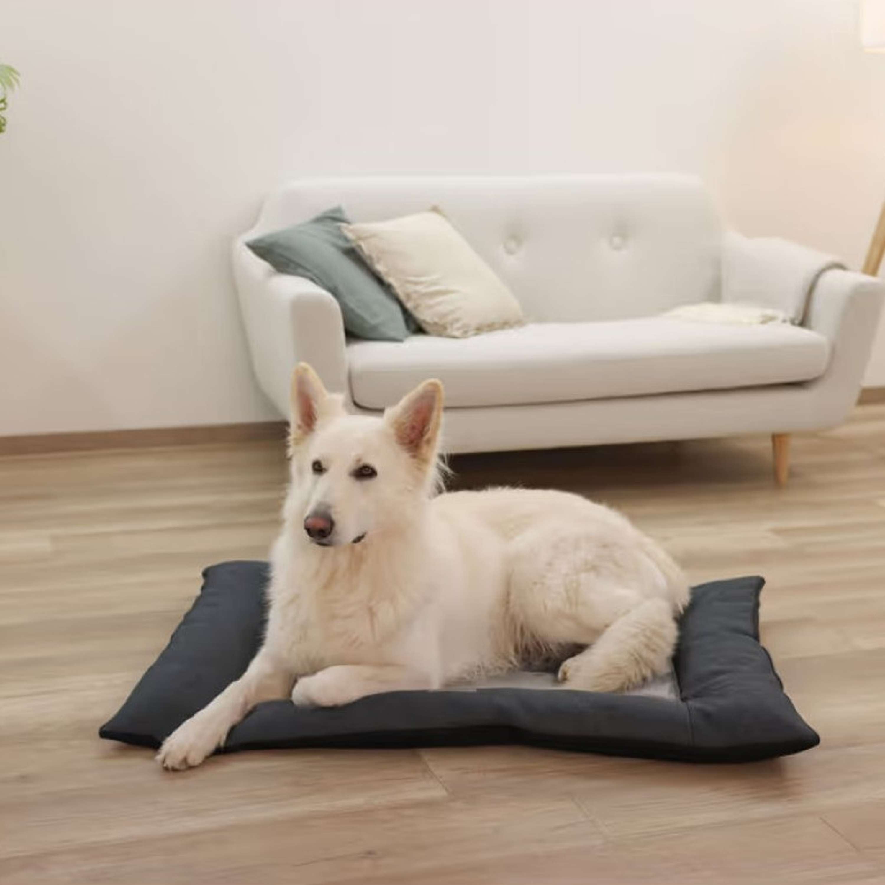 Kerbl Cuscino per Cane Ortopedico Grigio