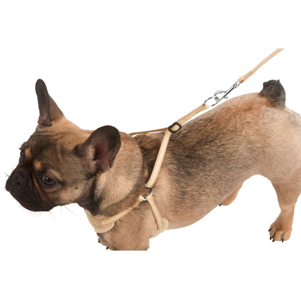 Kerbl Pettorina per Cucciolo con Lunghina Beige