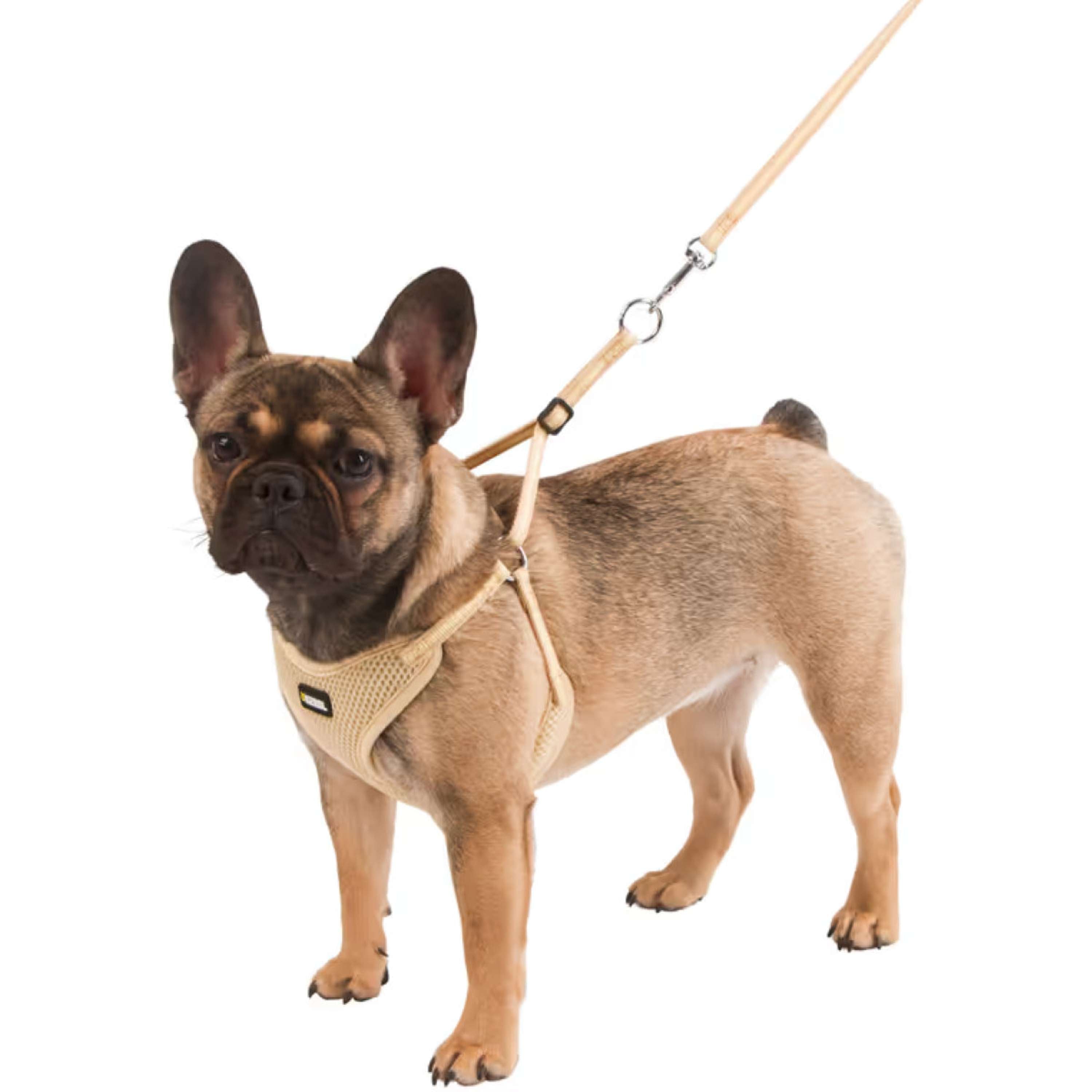 Kerbl Pettorina per Cucciolo con Lunghina Beige