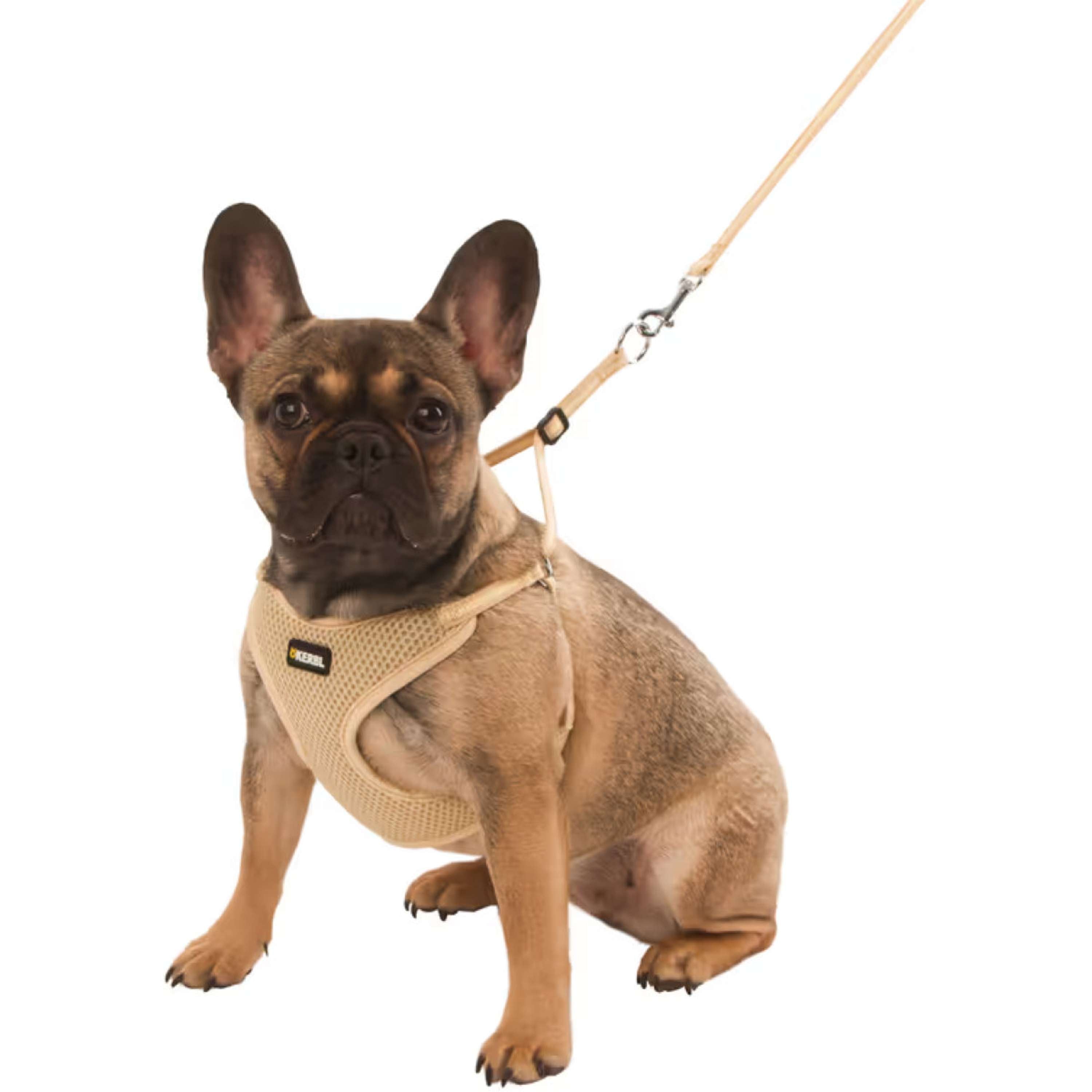 Kerbl Pettorina per Cucciolo con Lunghina Beige