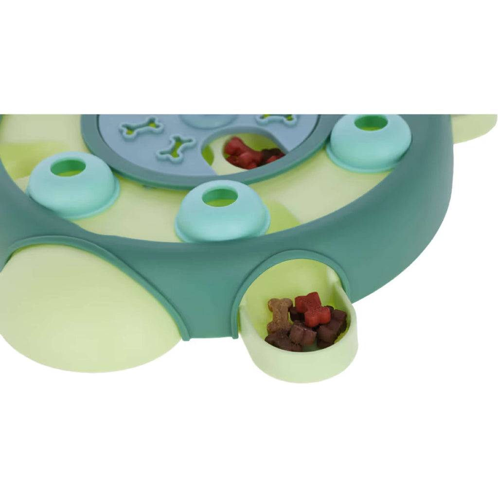 Kerbl Tartaruga Giocateolo Gioco di Riflessione e Apprendimento Verde