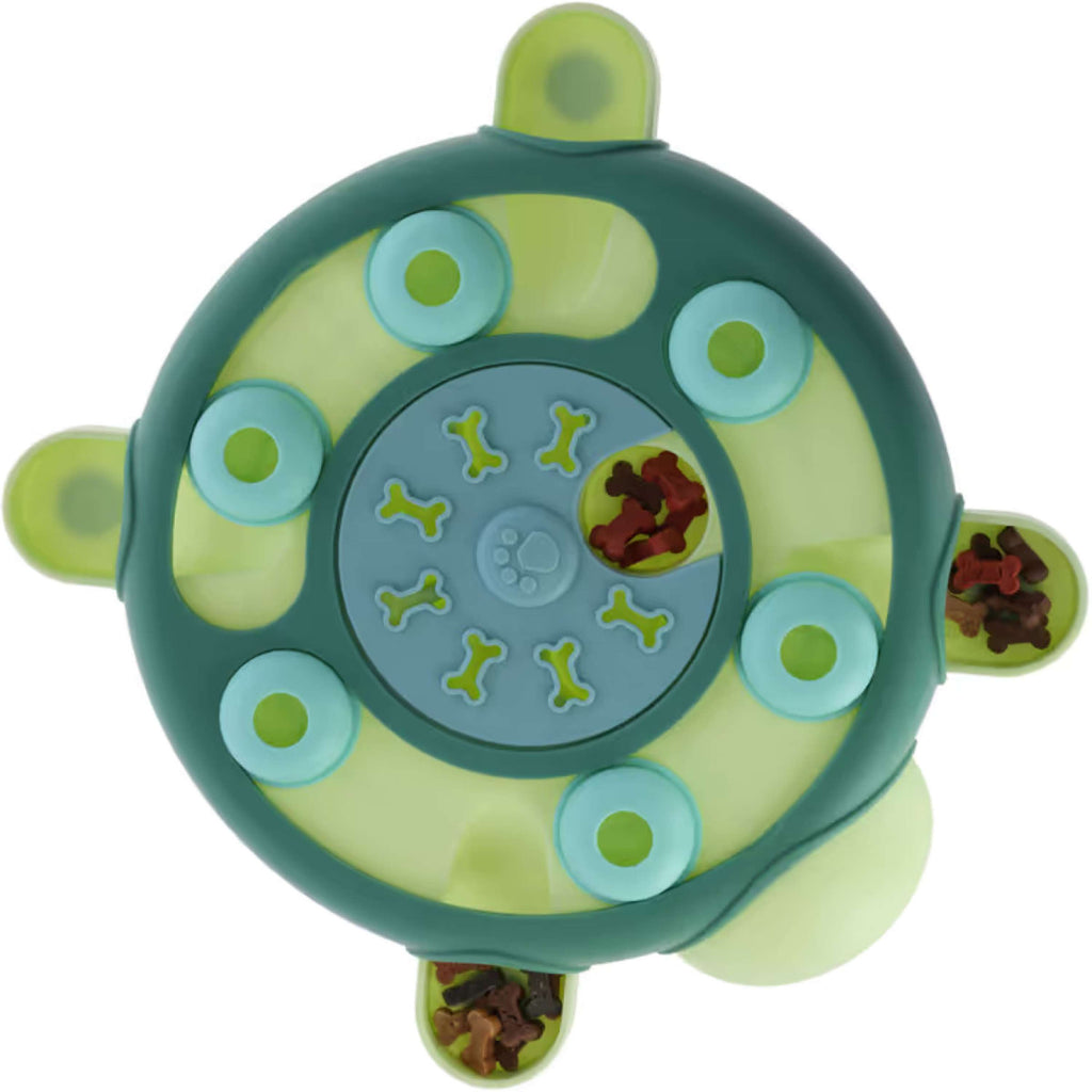 Kerbl Tartaruga Giocateolo Gioco di Riflessione e Apprendimento Verde