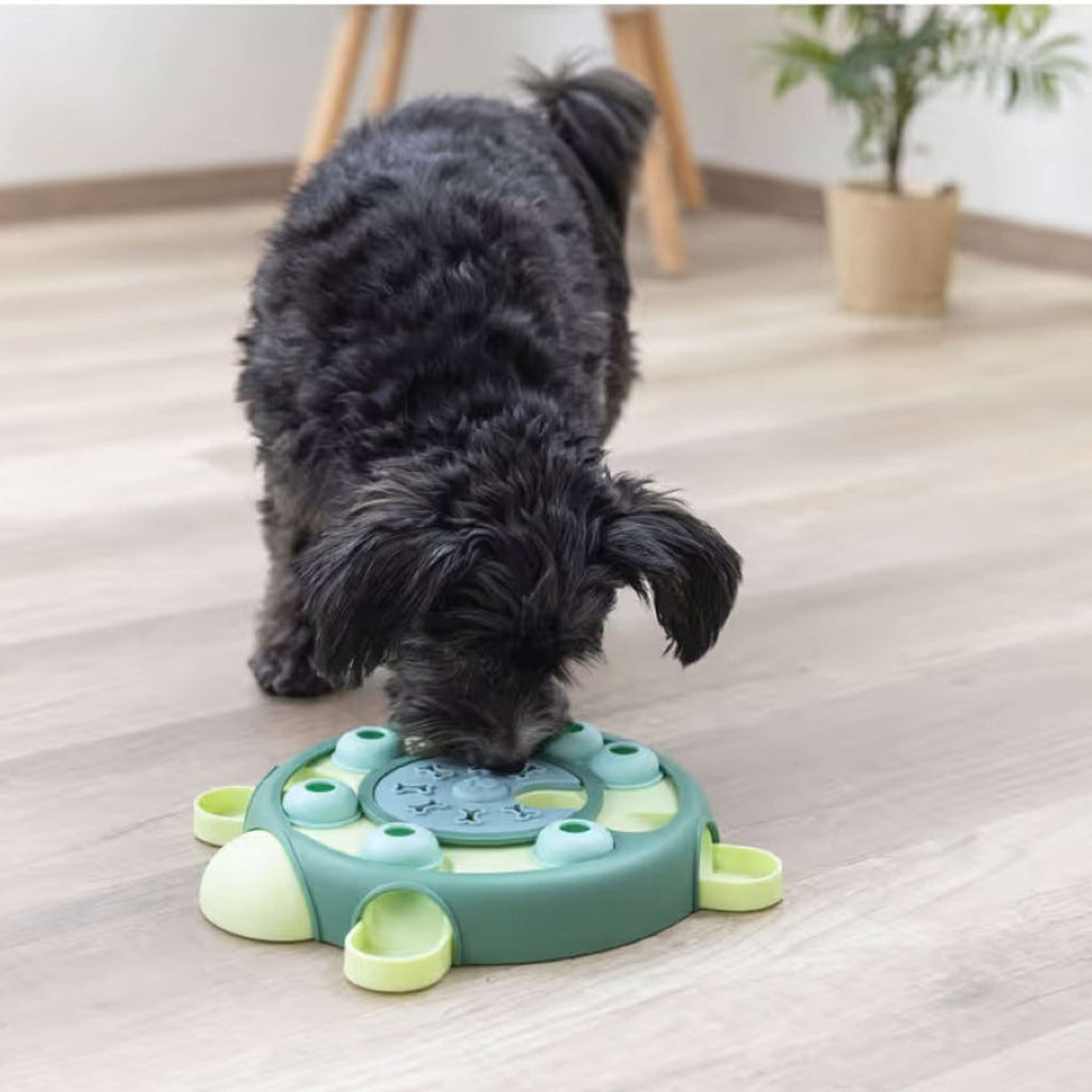 Kerbl Tartaruga Giocateolo Gioco di Riflessione e Apprendimento Verde