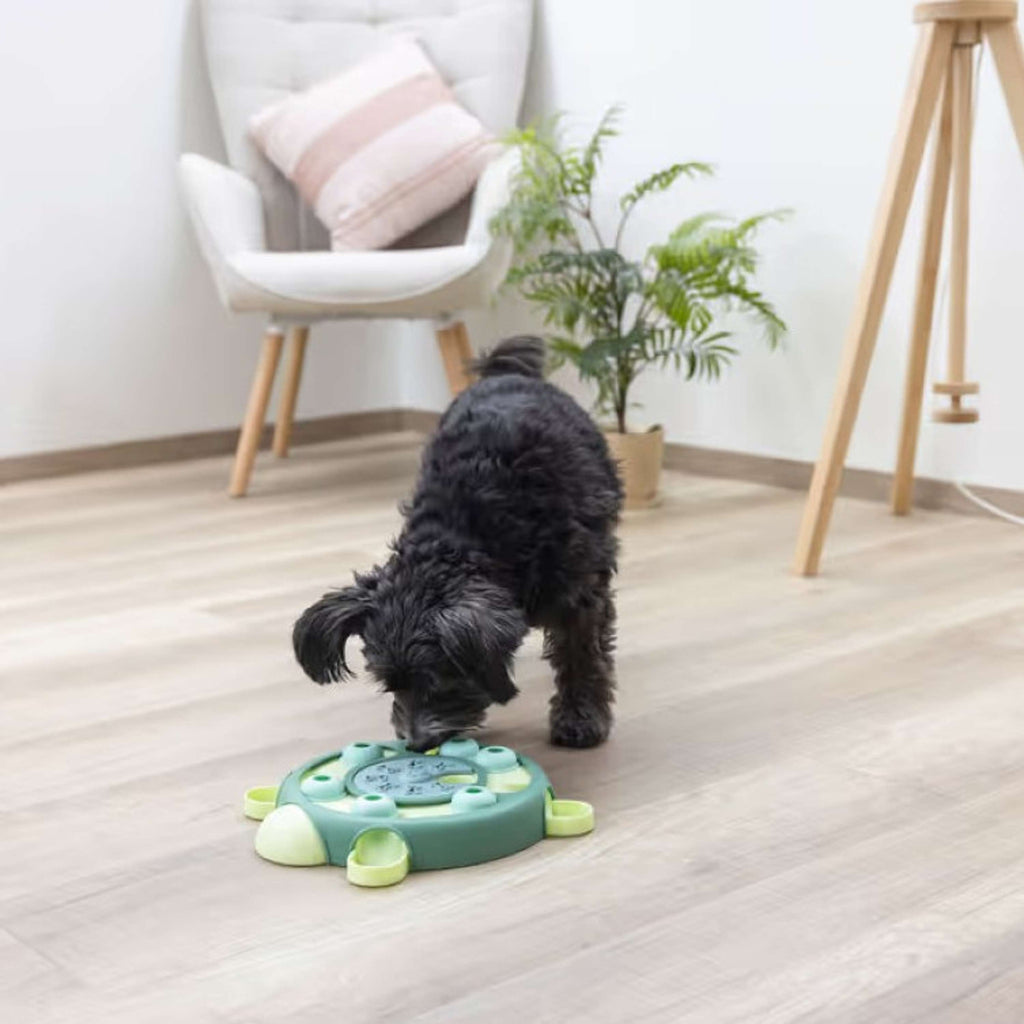Kerbl Tartaruga Giocateolo Gioco di Riflessione e Apprendimento Verde