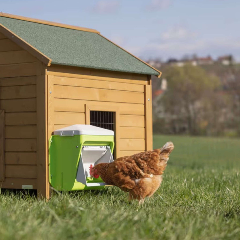 Kerbl Mangime Automatico con Aletta Protettiva Verde