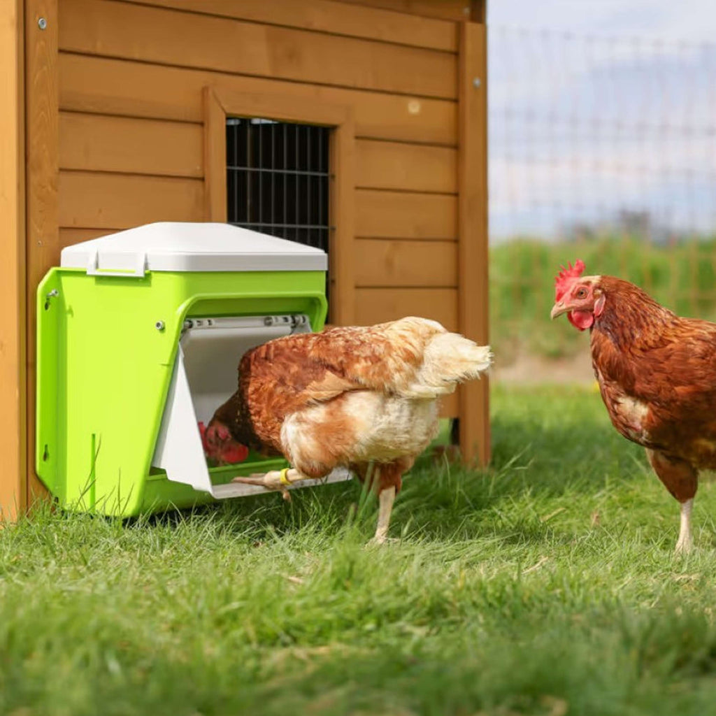 Kerbl Mangime Automatico con Aletta Protettiva Verde