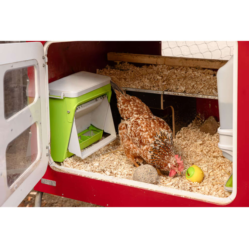 Kerbl Mangime Automatico con Aletta Protettiva Verde