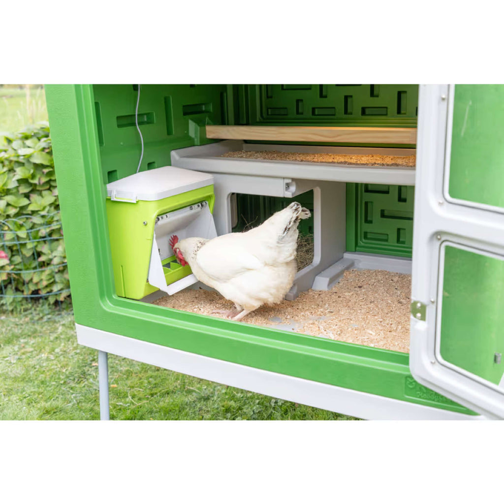 Kerbl Mangime Automatico con Aletta Protettiva Verde