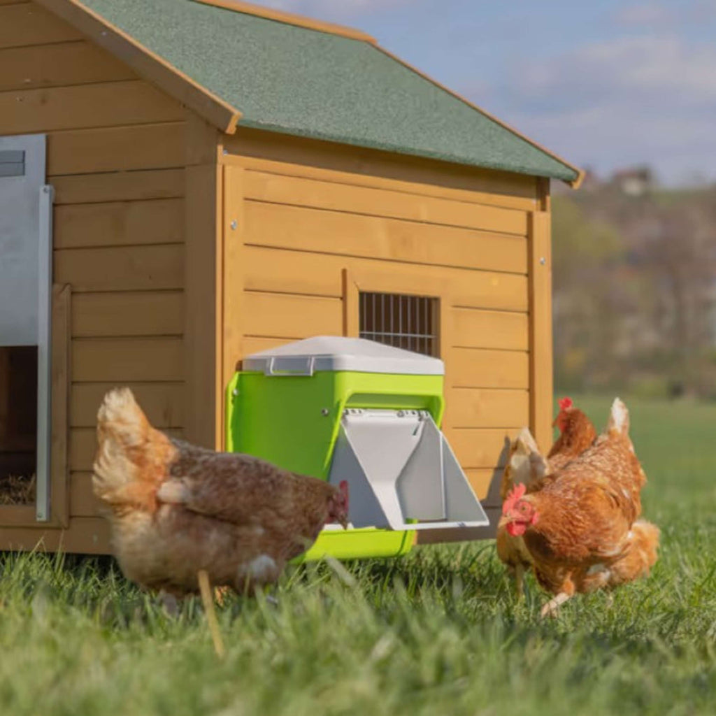 Kerbl Mangime Automatico con Aletta Protettiva Verde