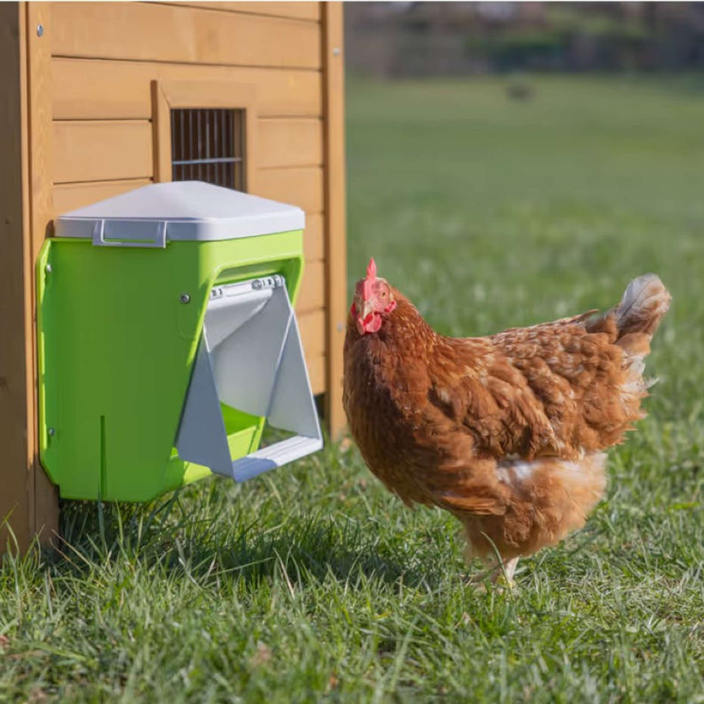 Kerbl Mangime Automatico con Aletta Protettiva Verde