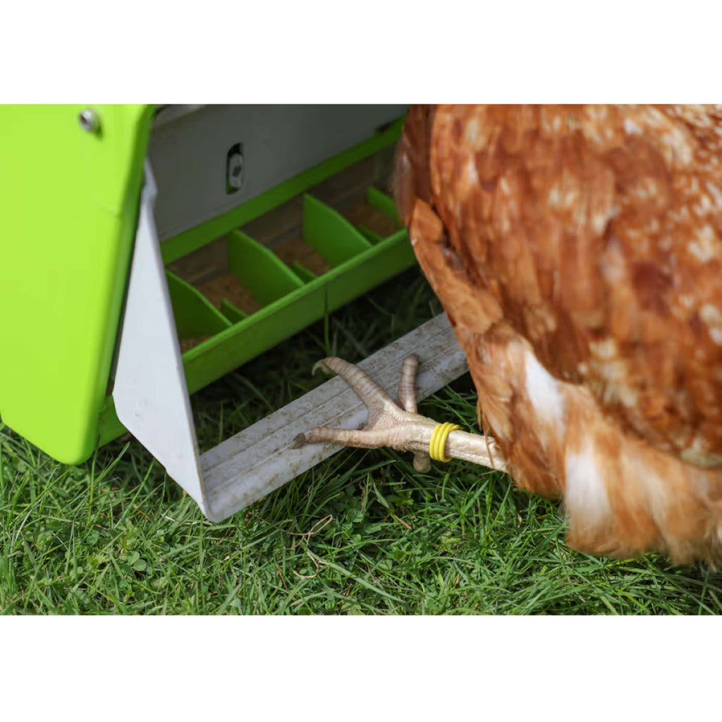 Kerbl Mangime Automatico con Aletta Protettiva Verde