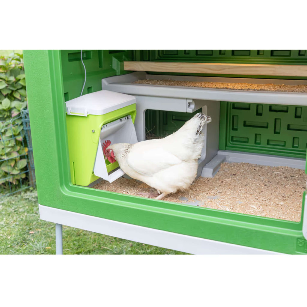 Kerbl Mangime Automatico con Aletta Protettiva Verde