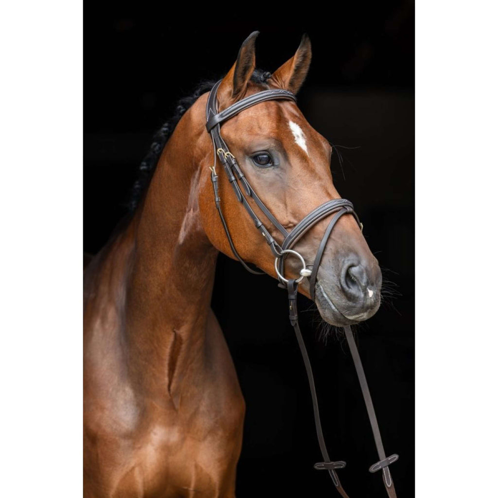 Briglia classica in pelle Kerbl Marrone classico