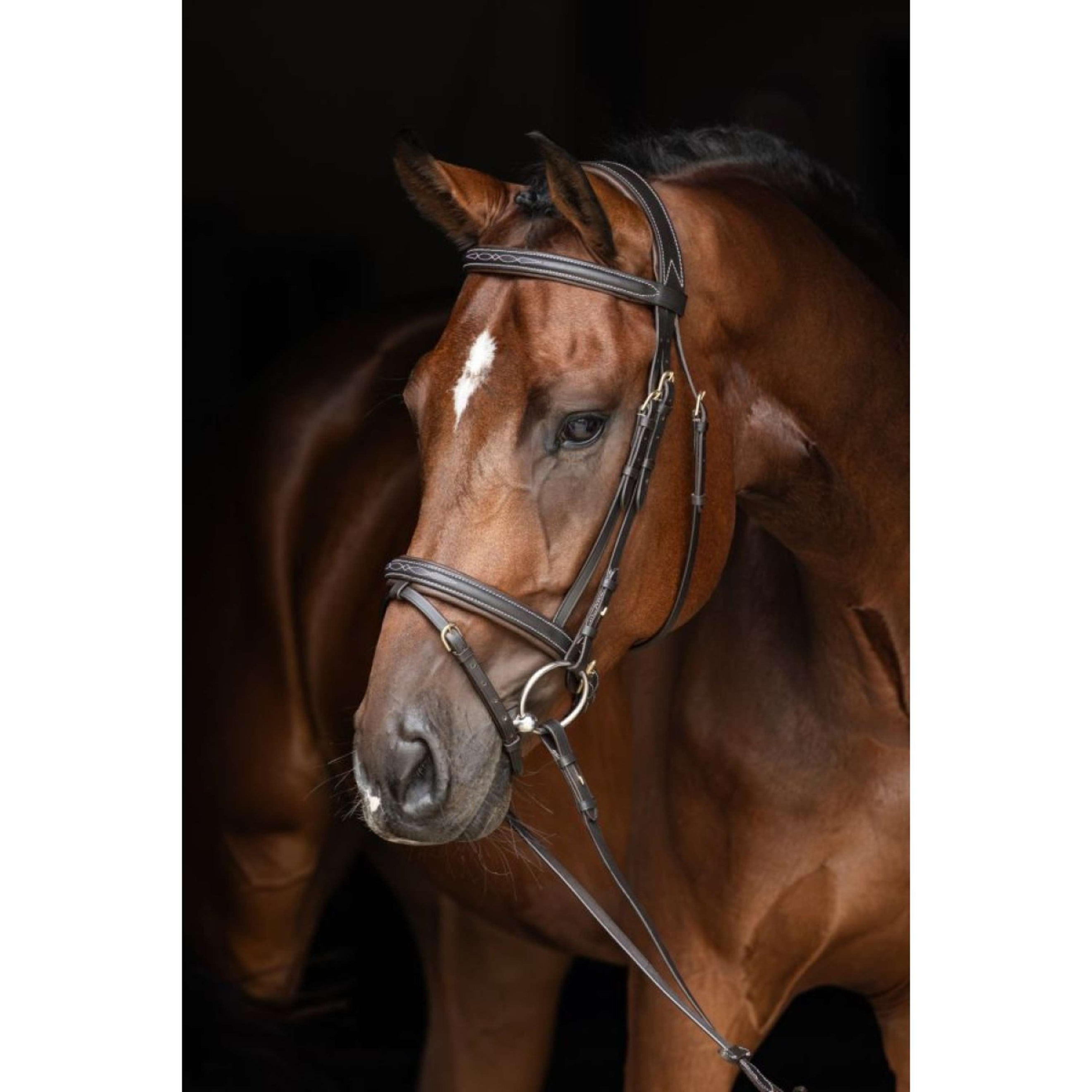 Briglia classica in pelle Kerbl Marrone classico