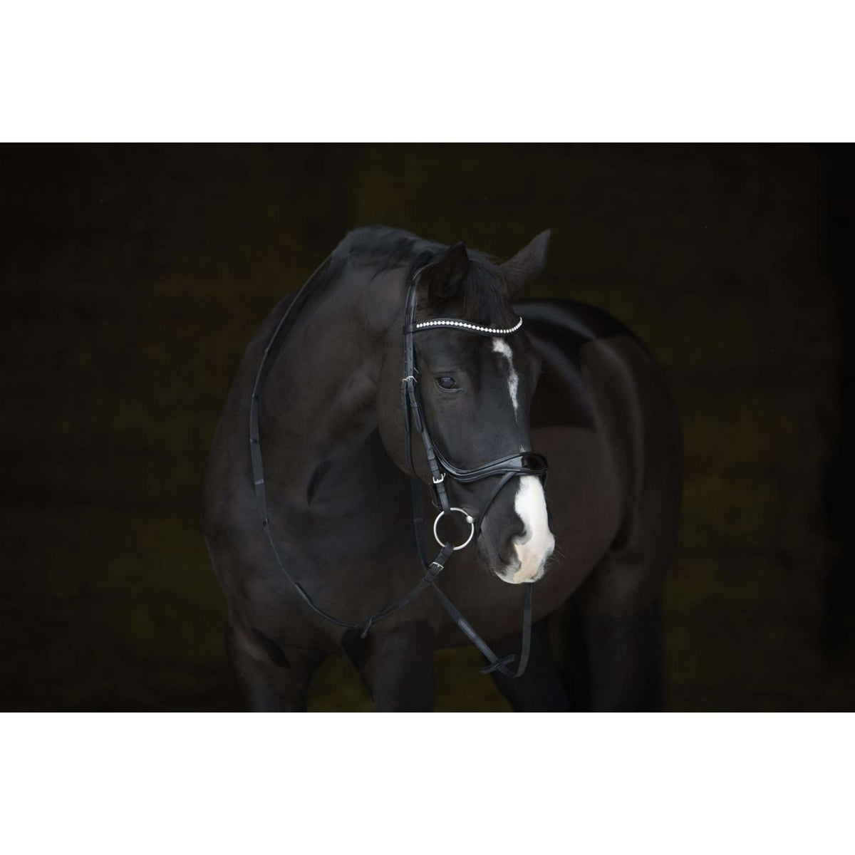 Kieffer Briglia Amy Shine Nero